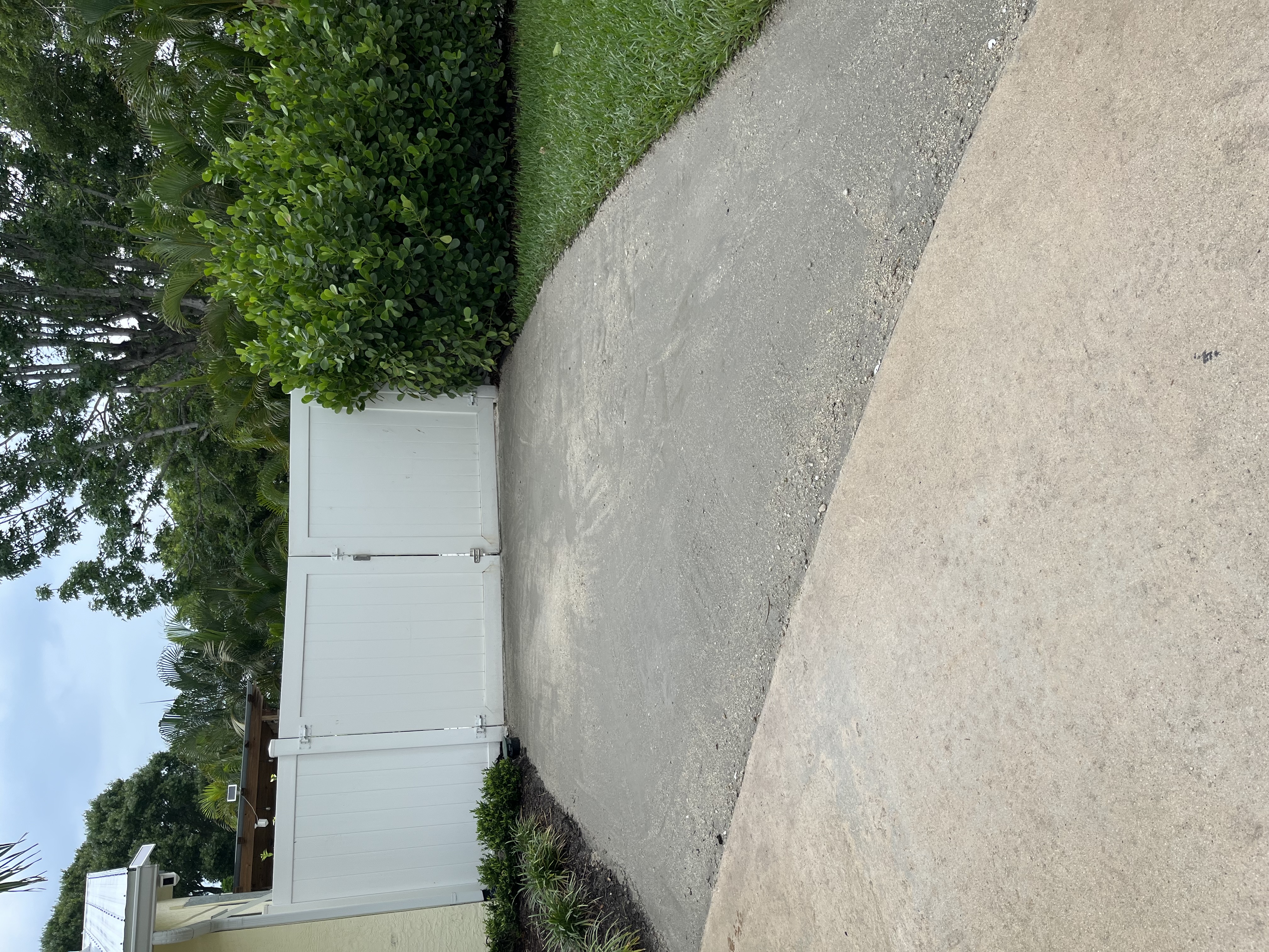 Freshly poured and finished concrete in the side yard area