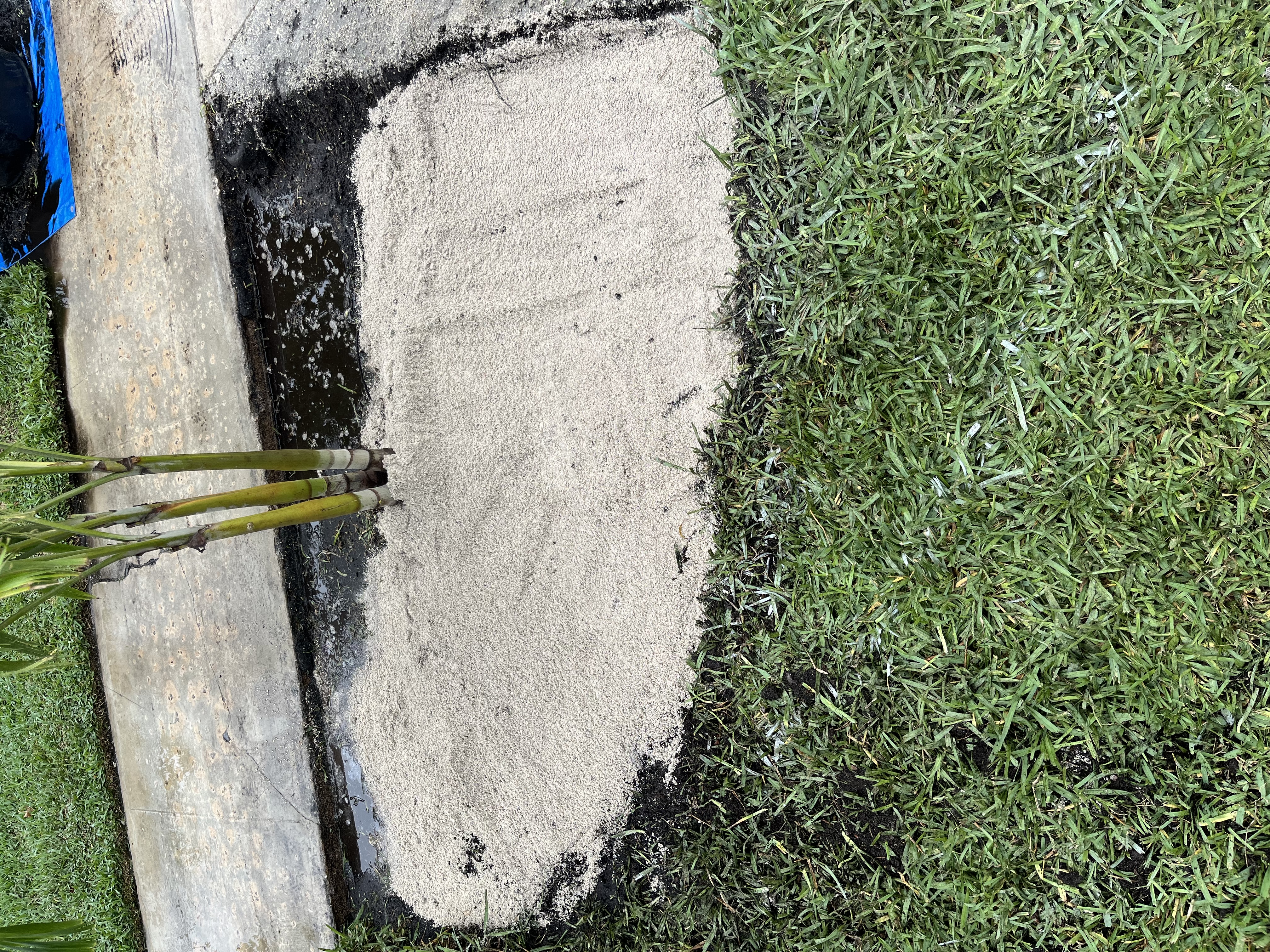 Palm tree landscape bed leveled and filled during the preparation stage